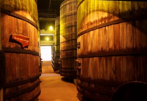 Caminhando entre as enormes "pipas" aprendendo um pouco mais sobre vinhos e espumantes em Garibaldi